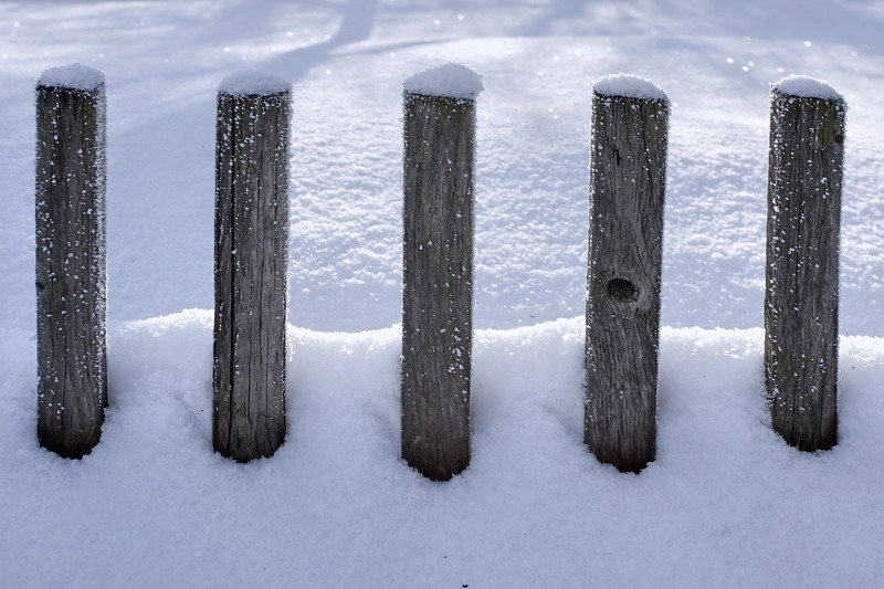 V zimě jsou ploty nižší